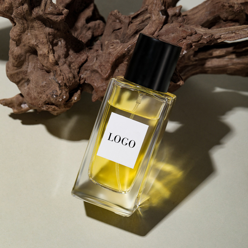 Parfum de femmes de 50ML/100ML Parfum de 50ml/100ml pour le parfum de parfum de dame